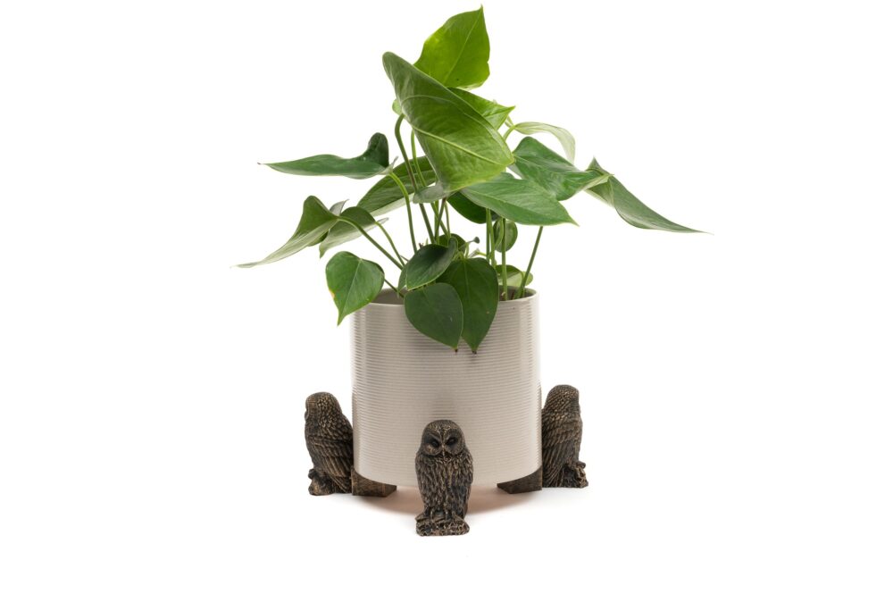 Owl Potty Feet and Cane Companion Bundle Set - Image 3