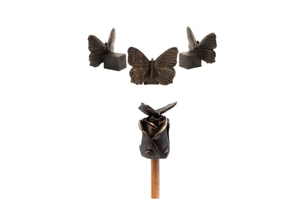 Butterfly Potty Feet and Cane Companion Bundle Set