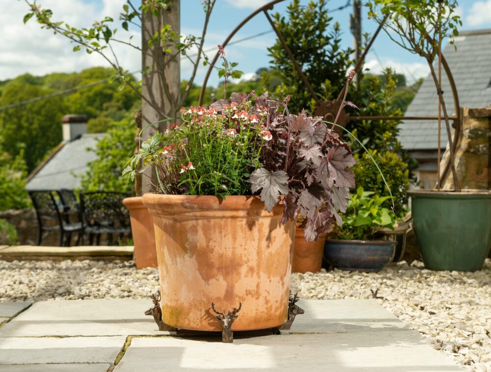 Stag Plant Pot Feet - Set of 3 - Image 5