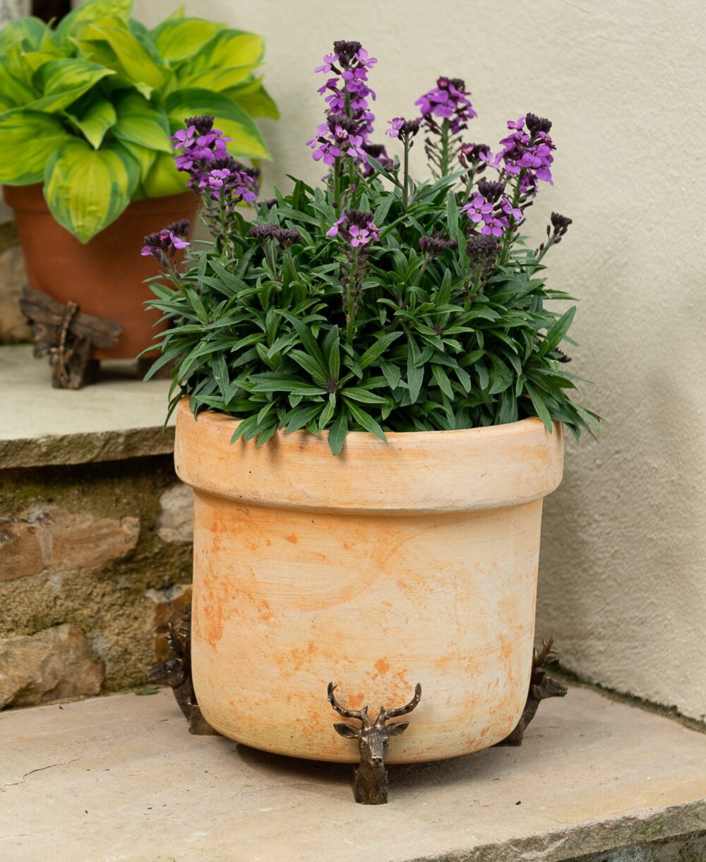 Stag Plant Pot Feet - Set of 3 - Image 4