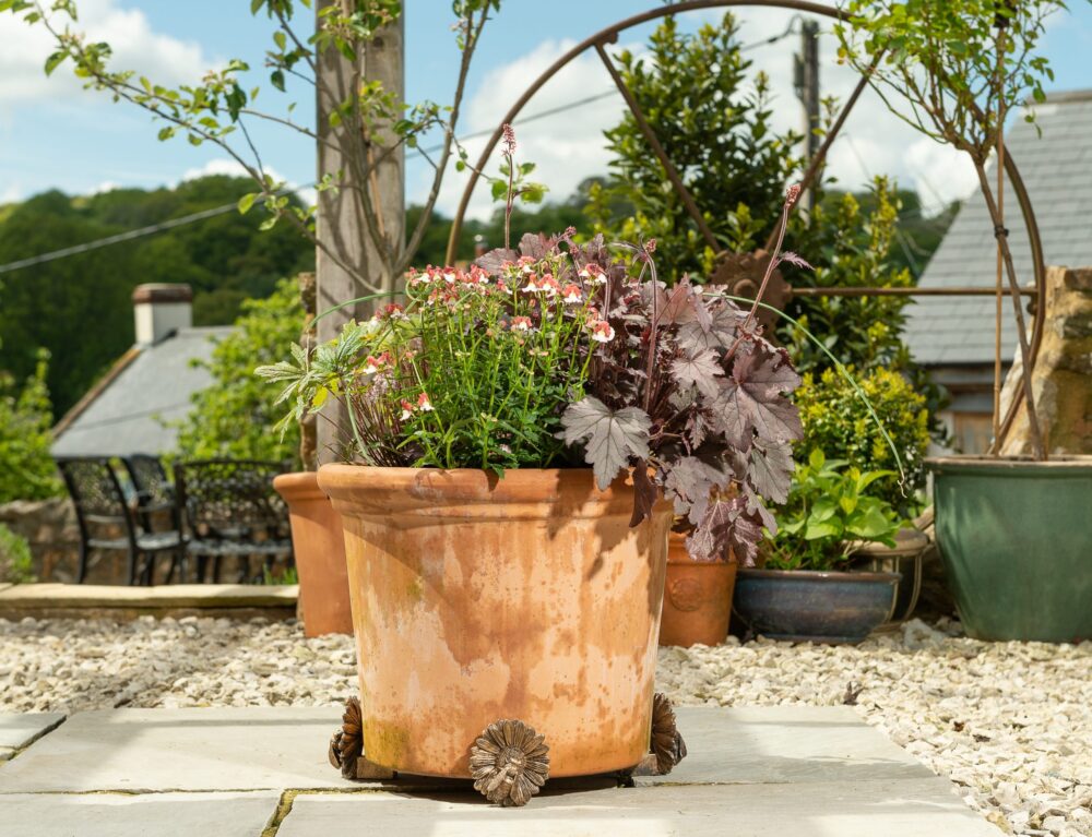 Bee Plant Pot Feet - Set of 3 - Image 4