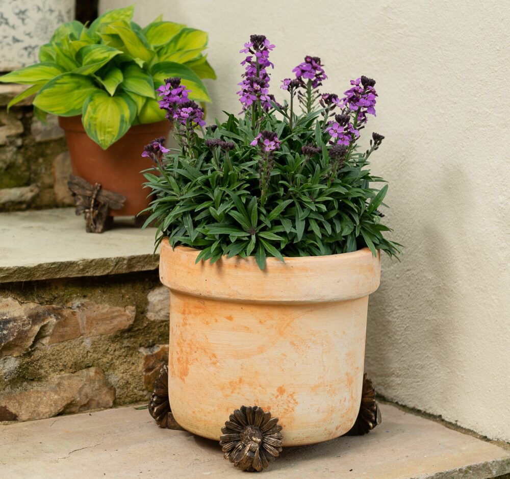 Bee Plant Pot Feet - Set of 3 - Image 7