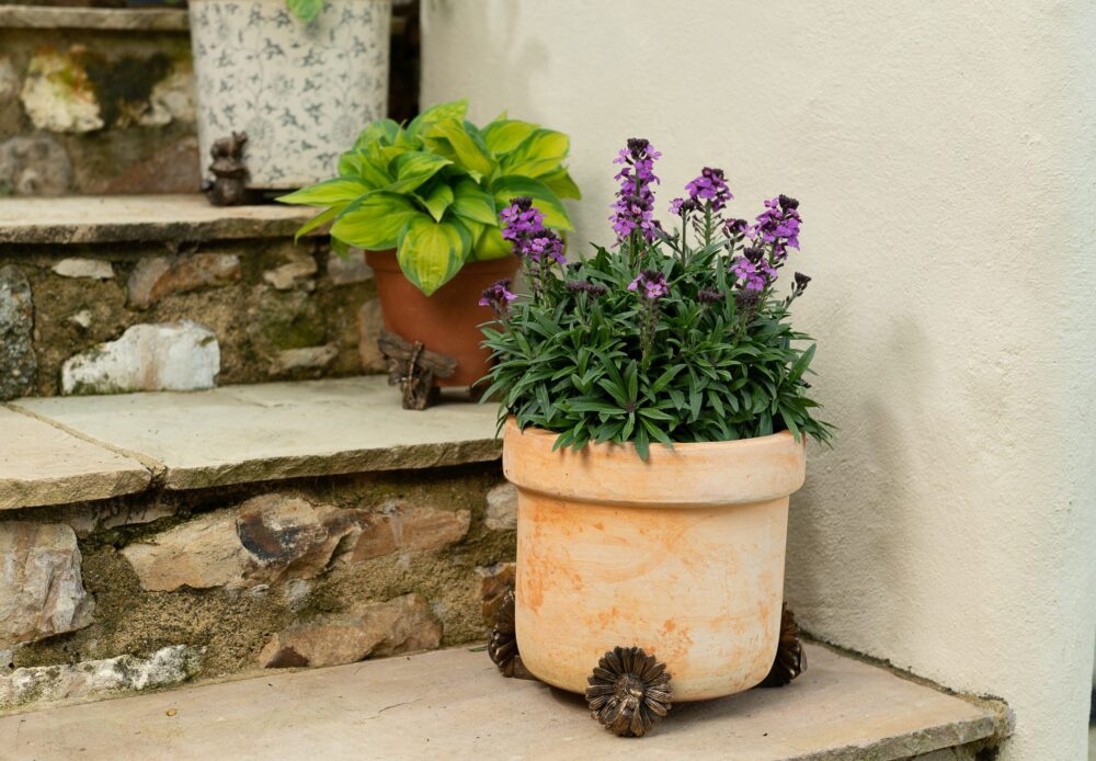 Bee Plant Pot Feet - Set of 3 - Image 3