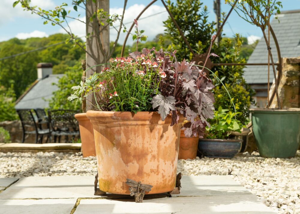 Dragonfly Plant Pot Feet - Set of 3 - Image 6