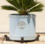 Sitting British Bulldog Plant Pot Feet - Set of 3