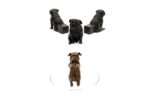 British Bulldog Potty Feet & Pot Buddy