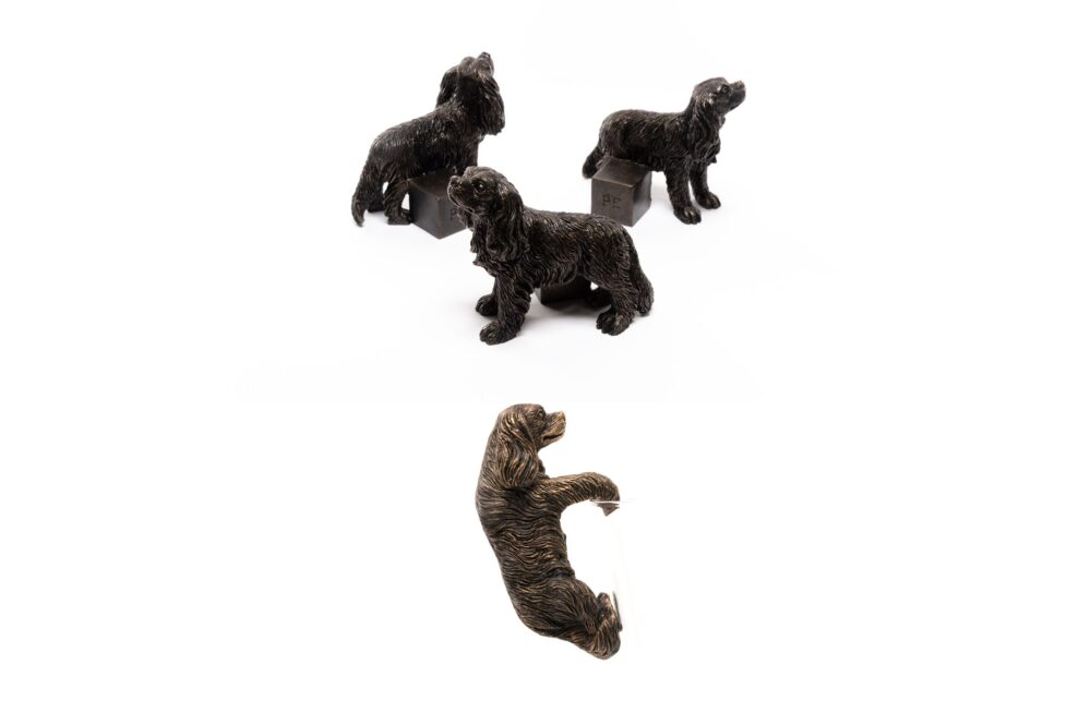 Cavalier King Charles Potty Feet and Pot Buddy