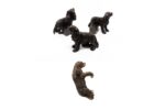 Cavalier King Charles Potty Feet and Pot Buddy