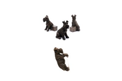 Schnauzer Potty Feet and Pot Buddy