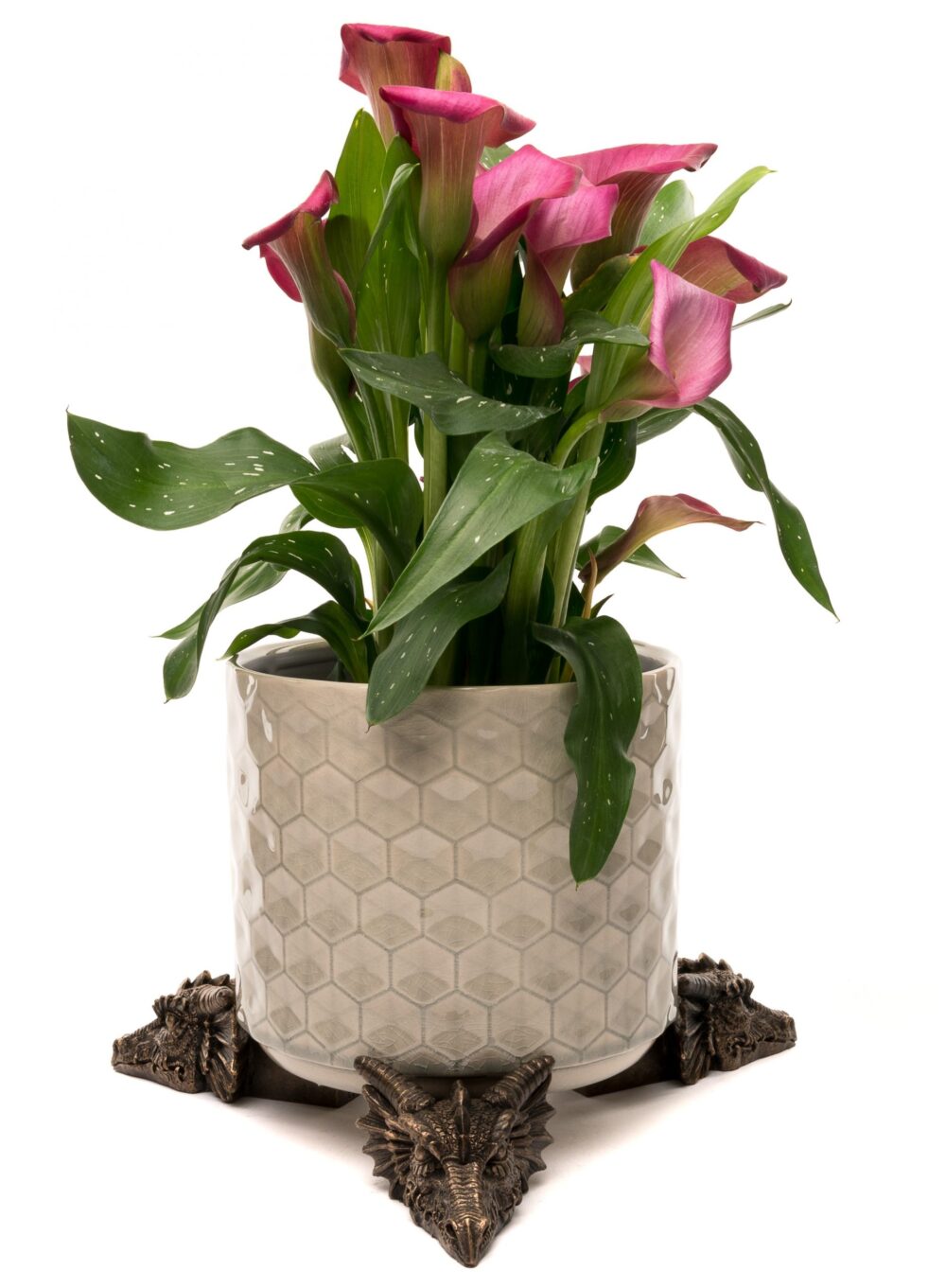 Dragon Plant Pot Feet - Set of 3 - Image 5