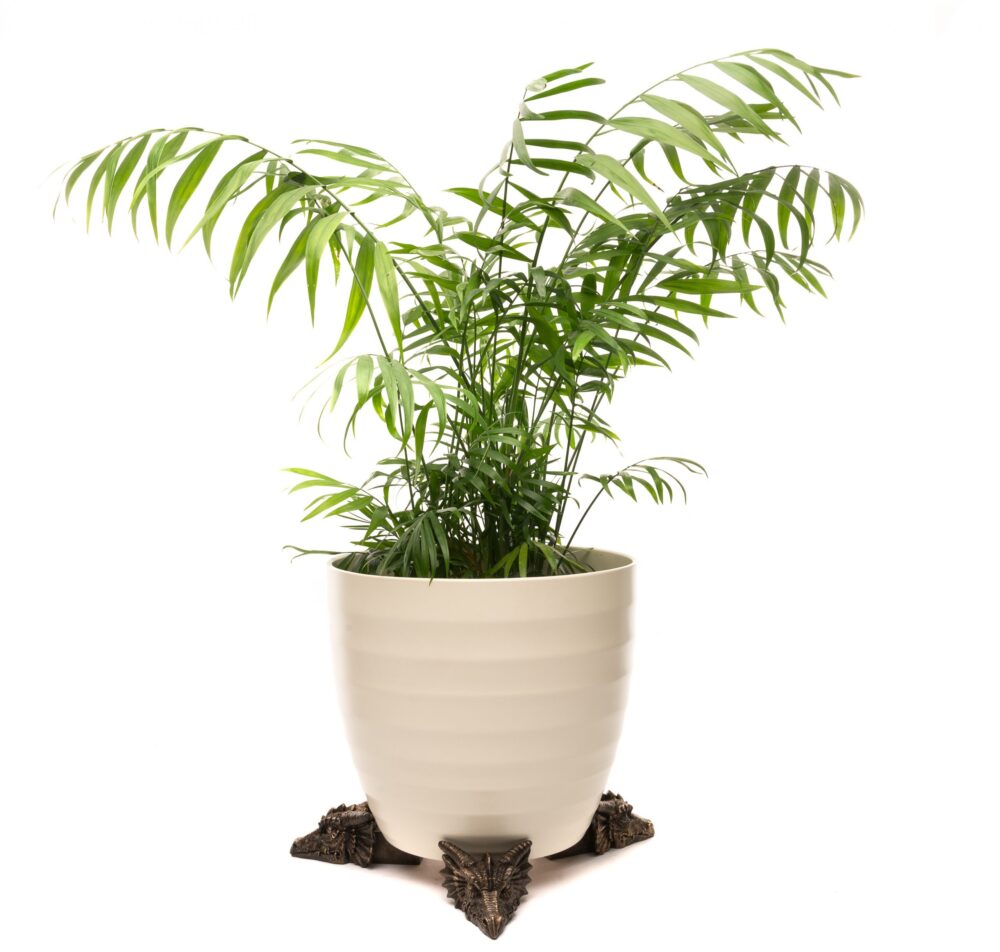 Dragon Plant Pot Feet - Set of 3 - Image 2