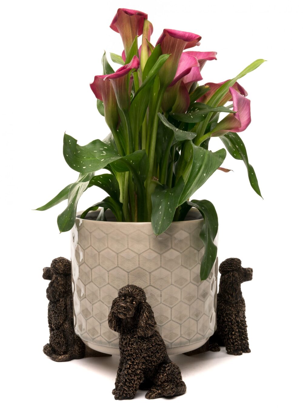 Poodle Plant Pot Feet - Set of 3