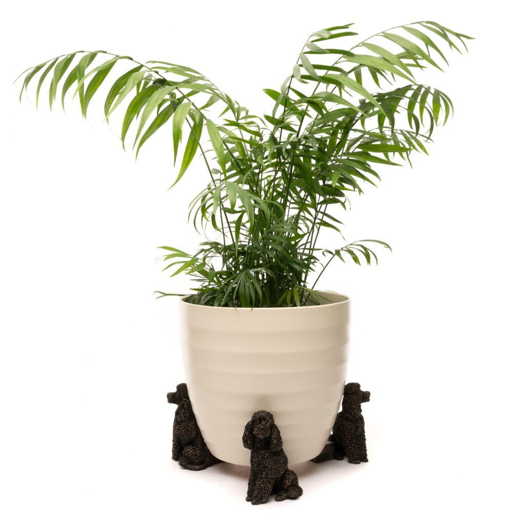 Poodle Plant Pot Feet - Set of 3 - Image 11