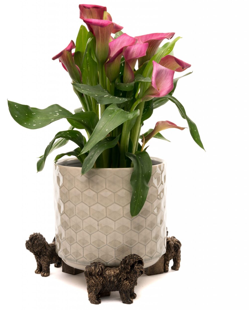 Shih Tzu Plant Pot Feet - Set of 3 - Image 5