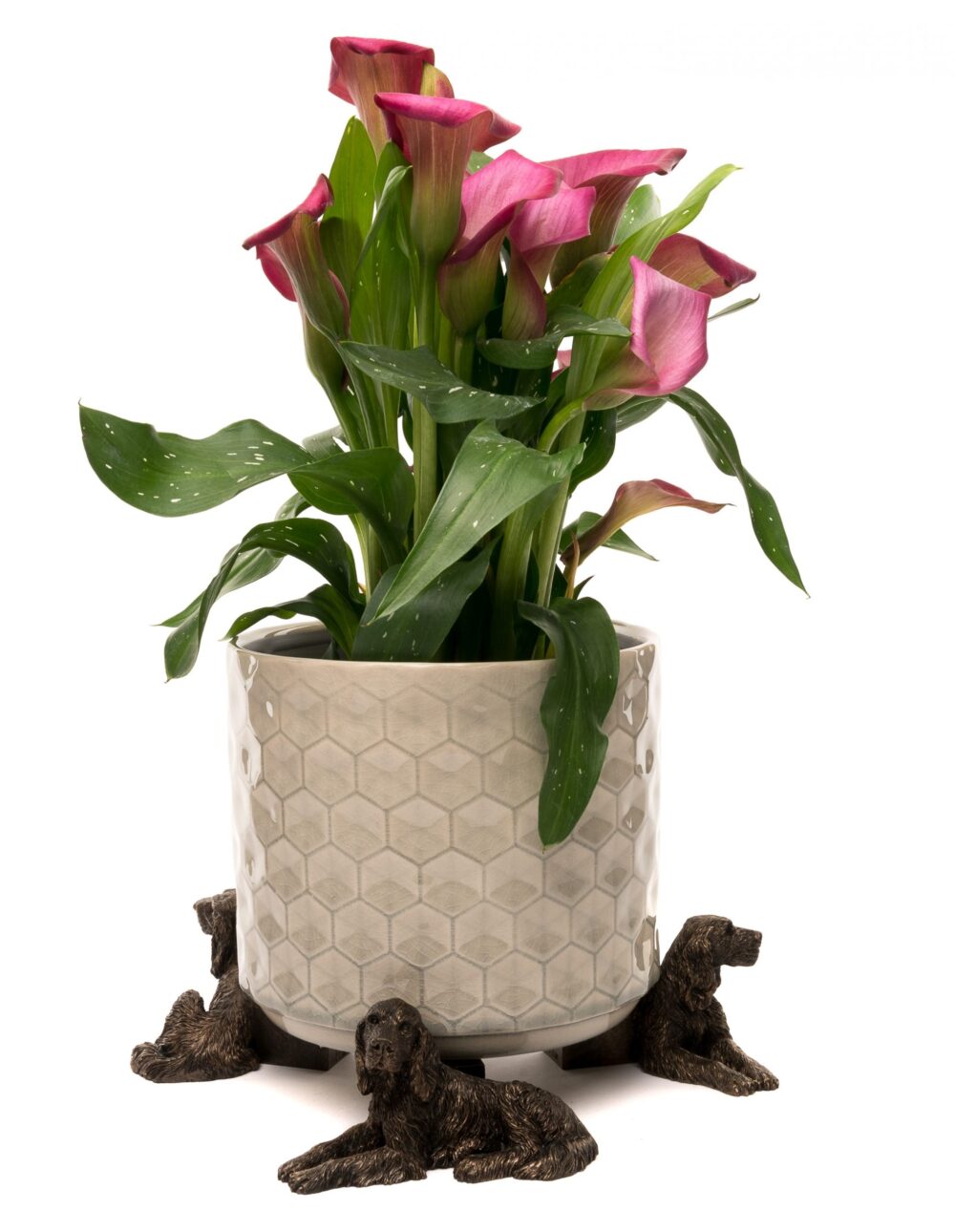 Irish Setter Plant Pot Feet - Set of 3 - Image 9