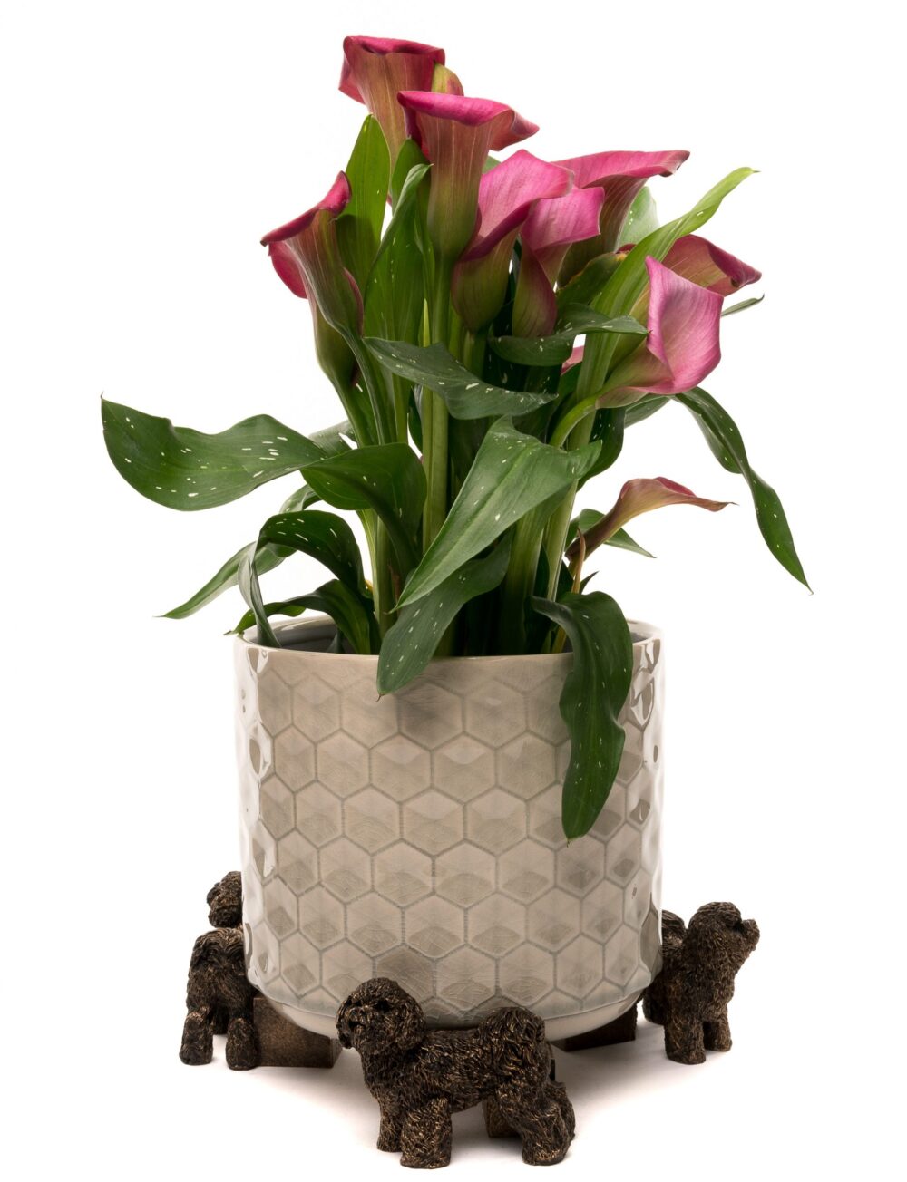 Bichon Frise Plant Pot Feet - Set of 3 - Image 3