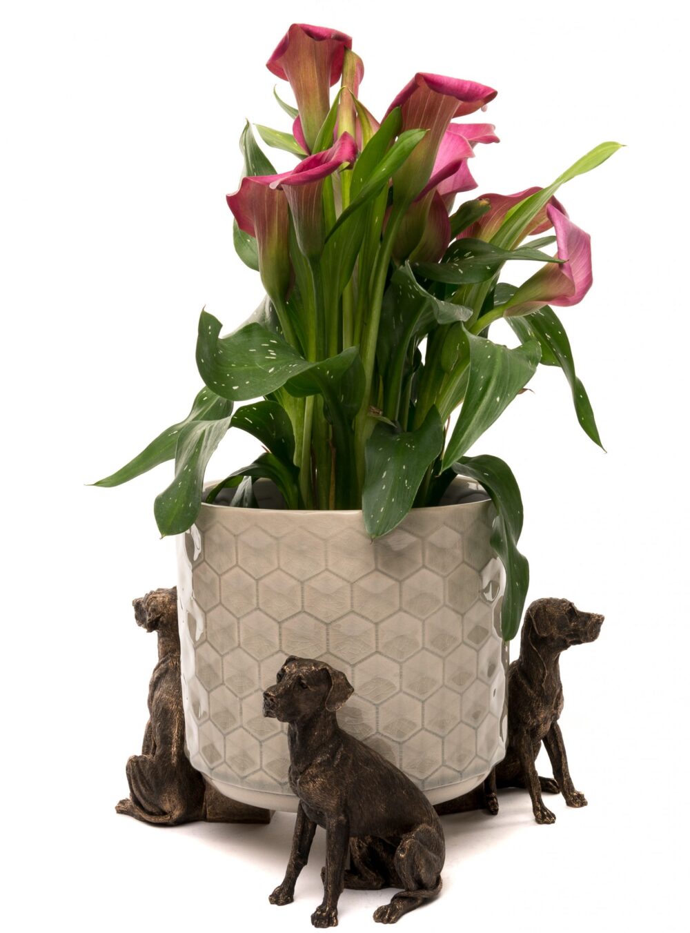 Great Dane Plant Pot Feet - Set of 3 - Image 4