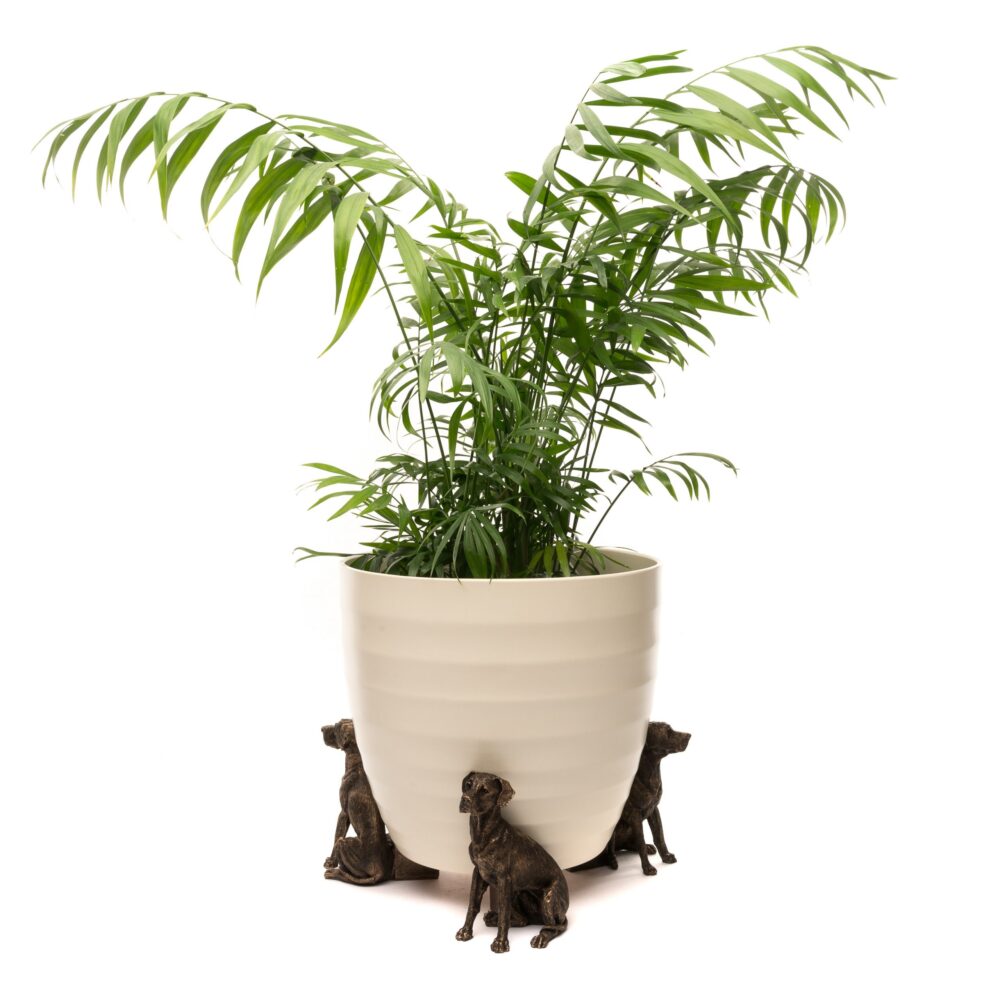 Great Dane Plant Pot Feet - Set of 3 - Image 6