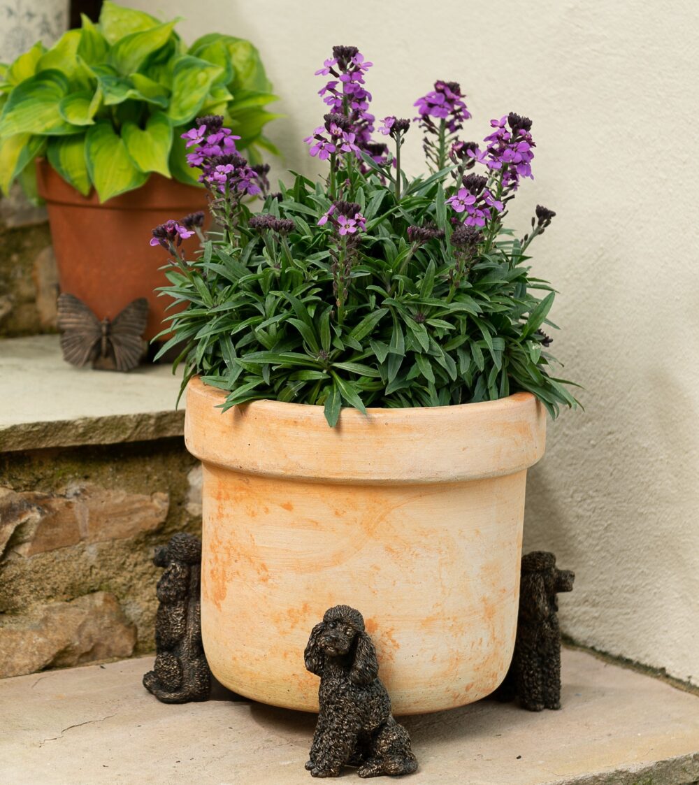 Poodle Plant Pot Feet - Set of 3 - Image 5