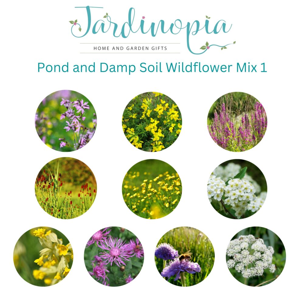 Beatrix Potter Wildflowers Seed Ball Tin Collection - Jemima Puddle-Duck & Mr Tod (Pond And Damp Soil Wildflower Mix) - Image 3
