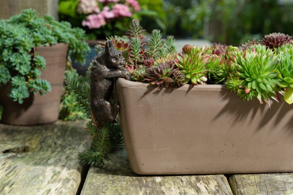 French Bulldog Potty Feet and Pot Buddy - Image 9