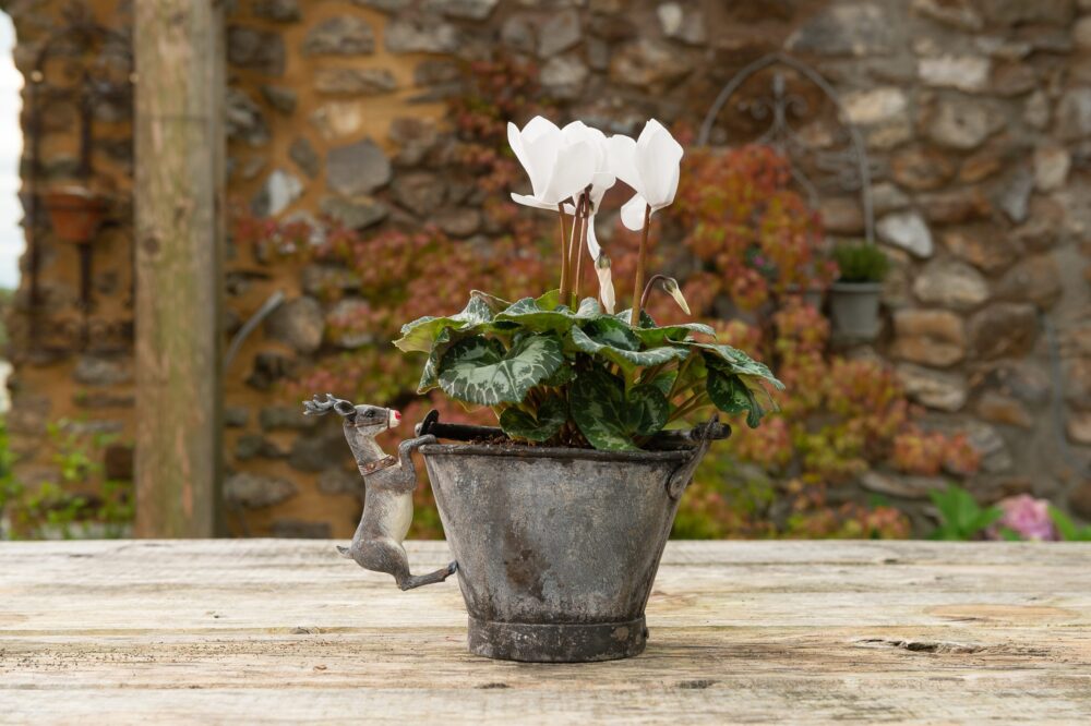 Christmas Set of 5 Pot Buddies - Image 11