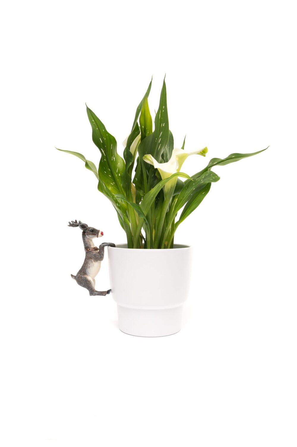 Pot Buddies Christmas Rudolf Reindeer Plant Pot Hanger - Image 4