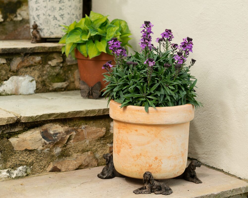 Irish Setter Plant Pot Feet - Set of 3 - Image 6