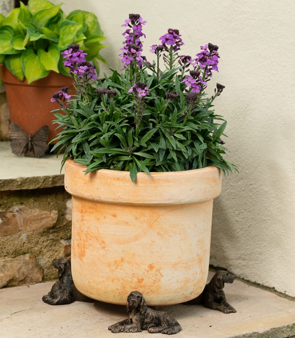 Irish Setter Plant Pot Feet - Set of 3 - Image 5