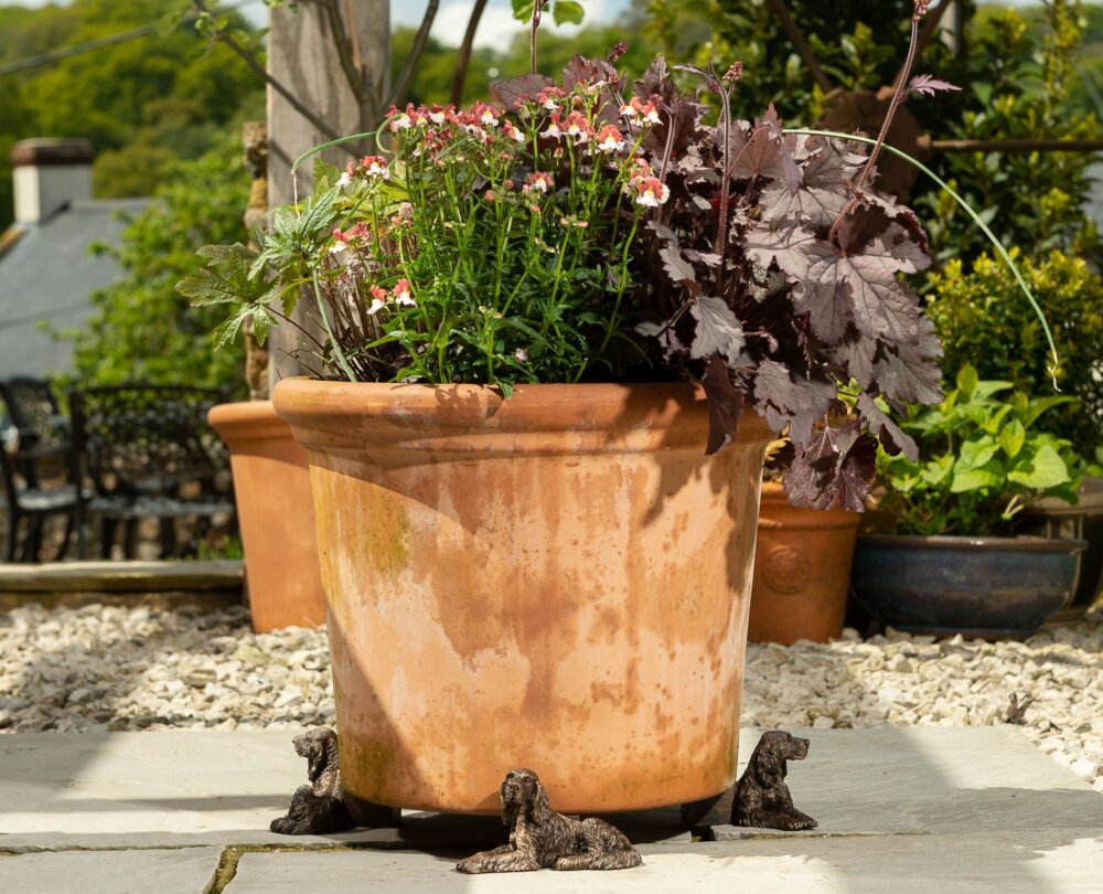 Irish Setter Plant Pot Feet - Set of 3 - Image 2
