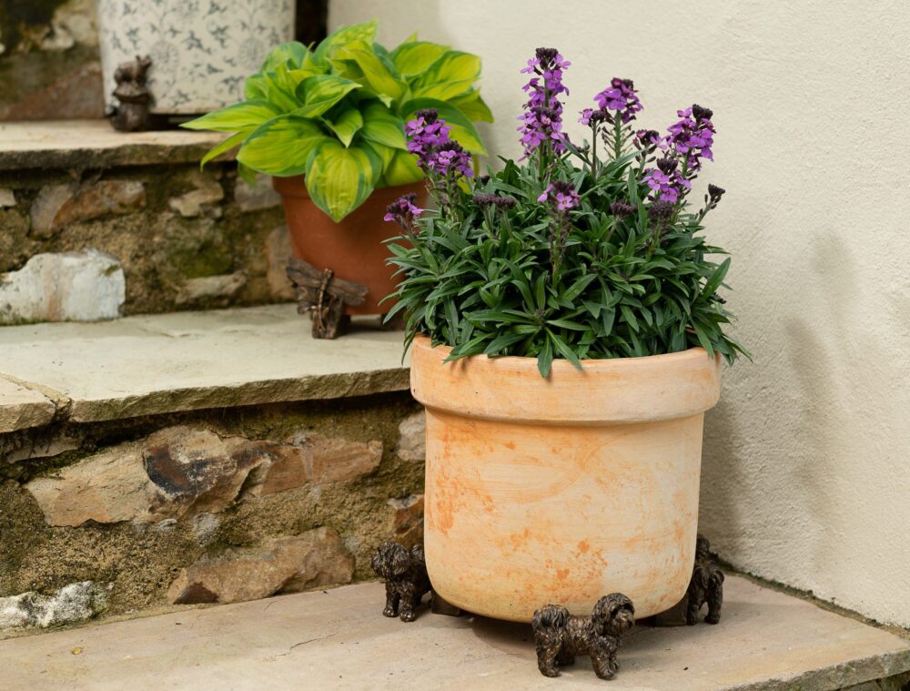 Shih Tzu Plant Pot Feet - Set of 3 - Image 3