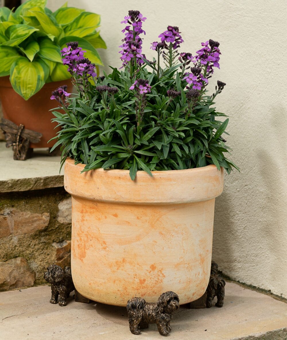 Shih Tzu Plant Pot Feet - Set of 3 - Image 2