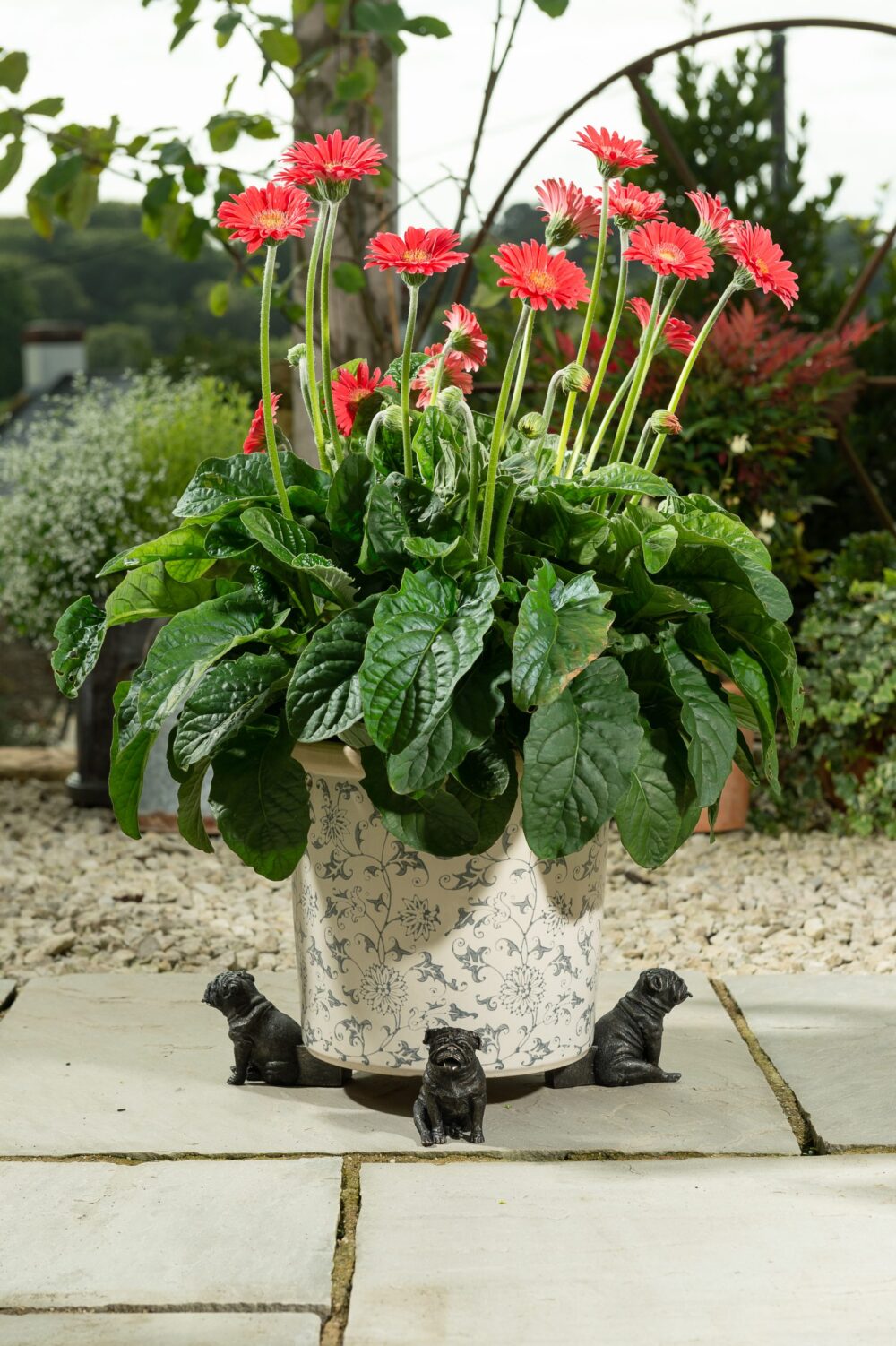 British Bulldog Potty Feet & Pot Buddy - Image 3
