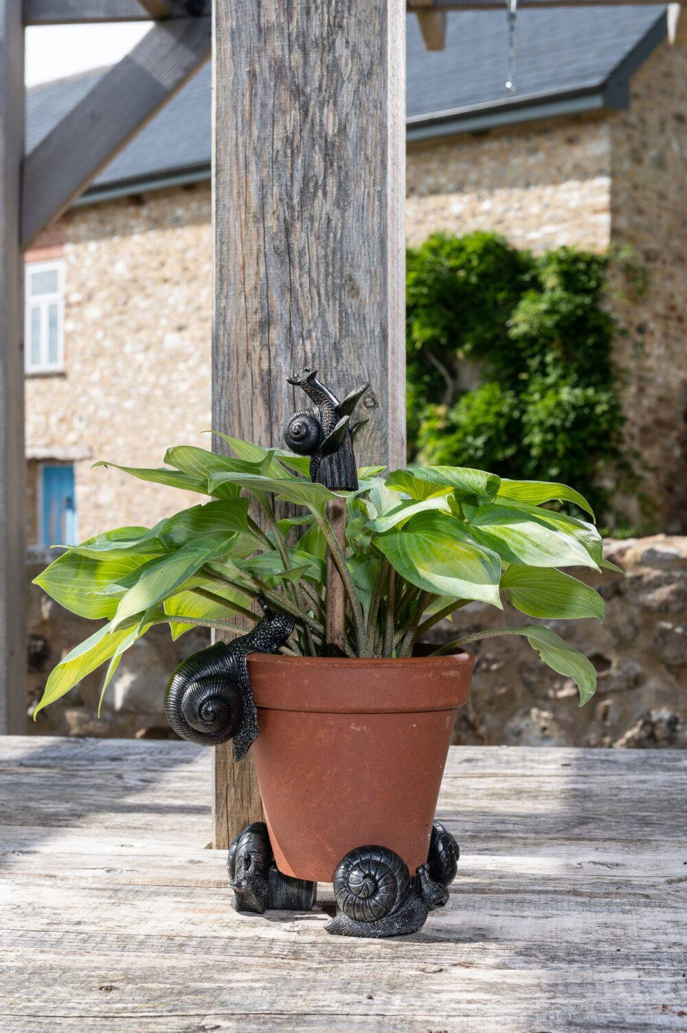 Snail Potty Feet and Pot Buddy and Cane Companion Bundle Set - Image 3