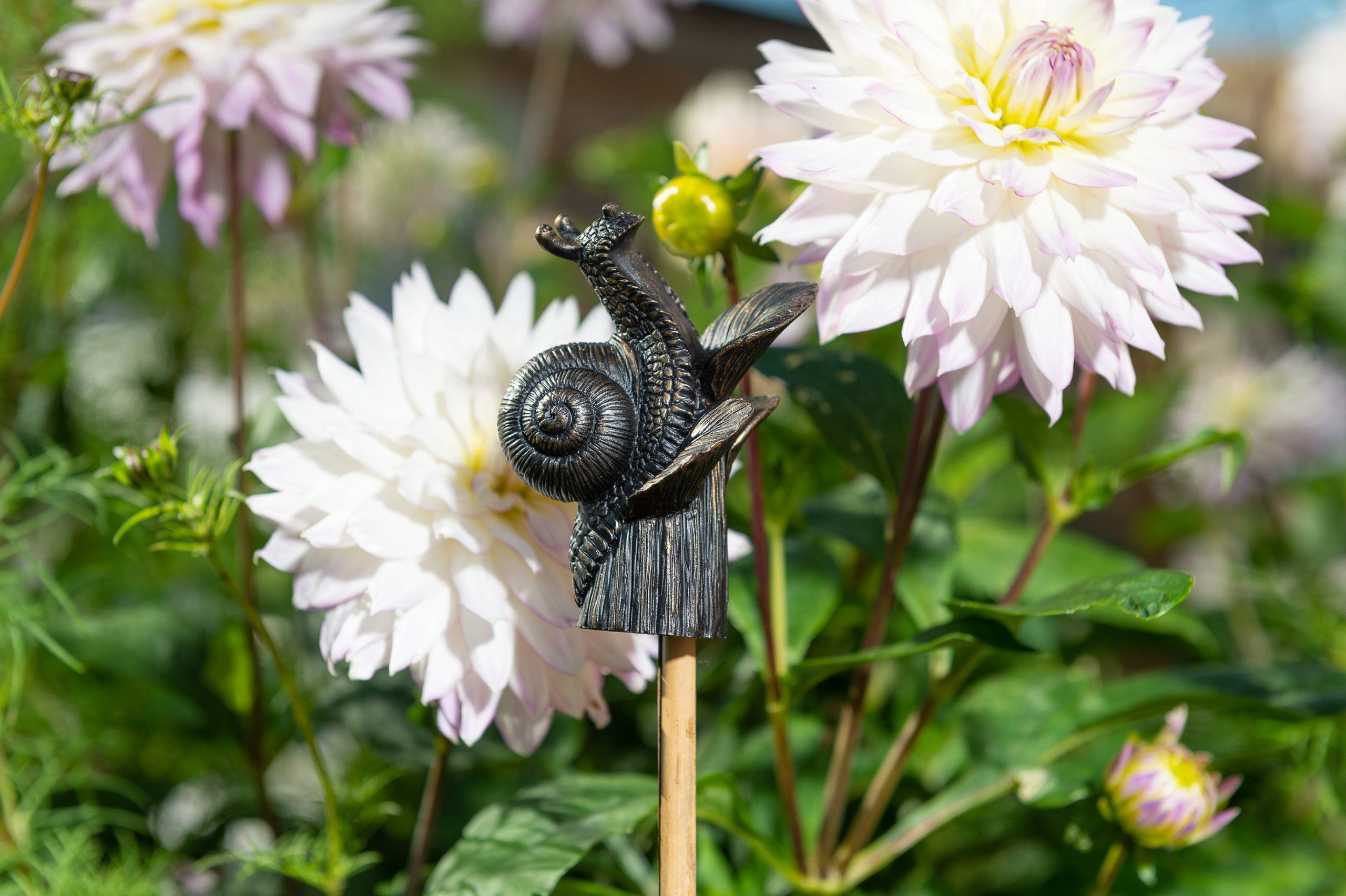 Snail Potty Feet and Pot Buddy and Cane Companion Bundle Set - Image 7