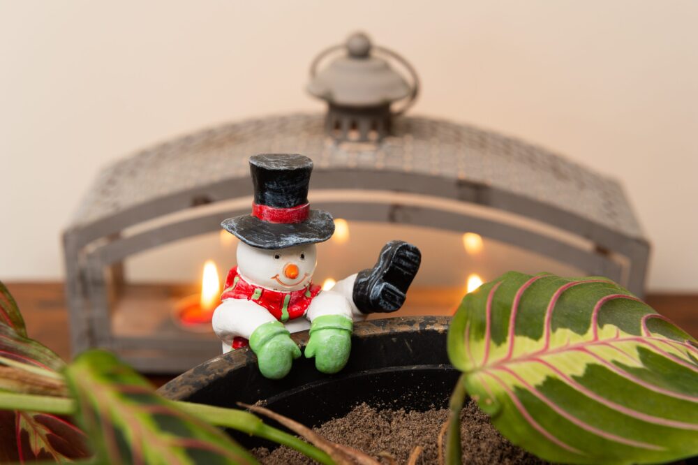 Christmas Set of 5 Pot Buddies - Image 2