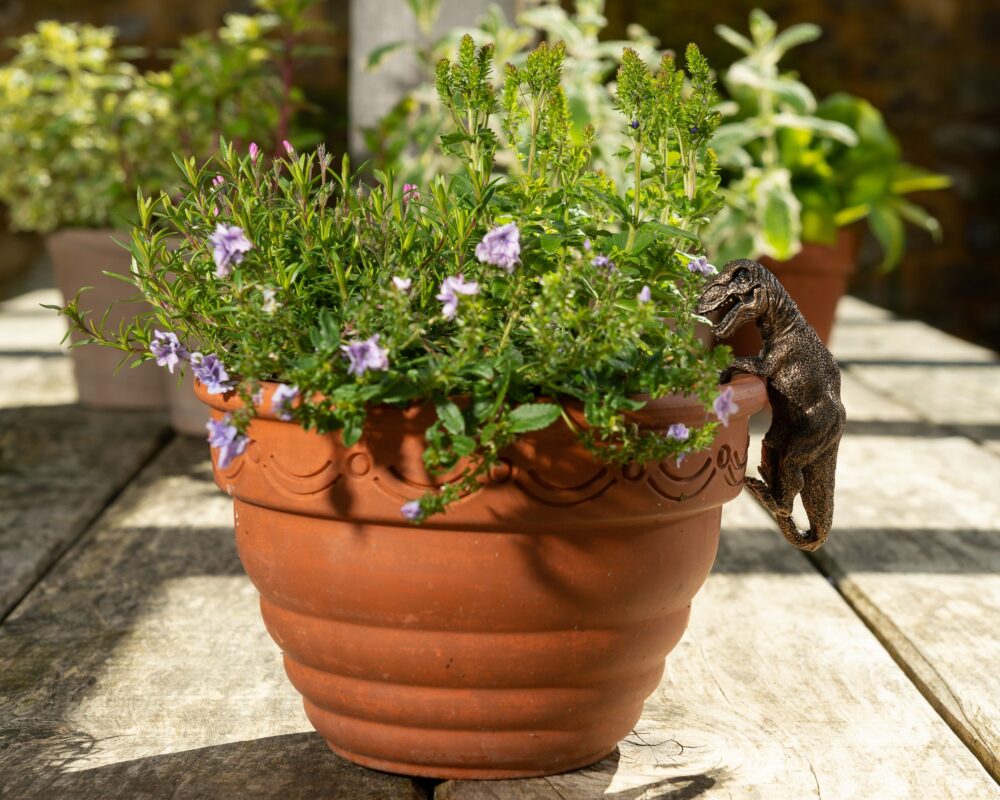 Tyranasaurus Rex Plant Pot Hanger - Image 8