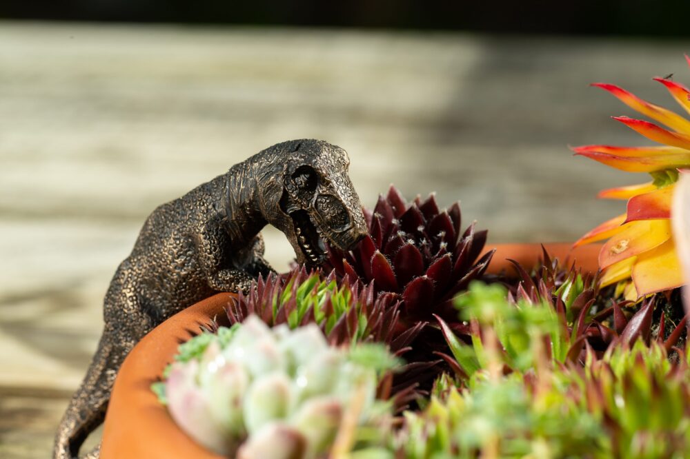 Tyranasaurus Rex Plant Pot Hanger - Image 7