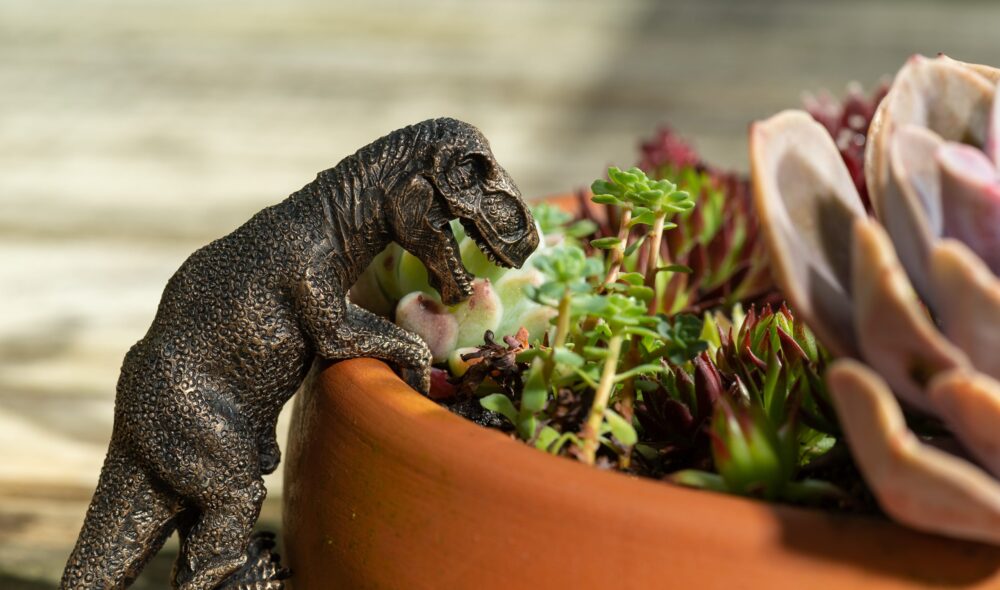 T-Rex & Velociraptor - Image 11