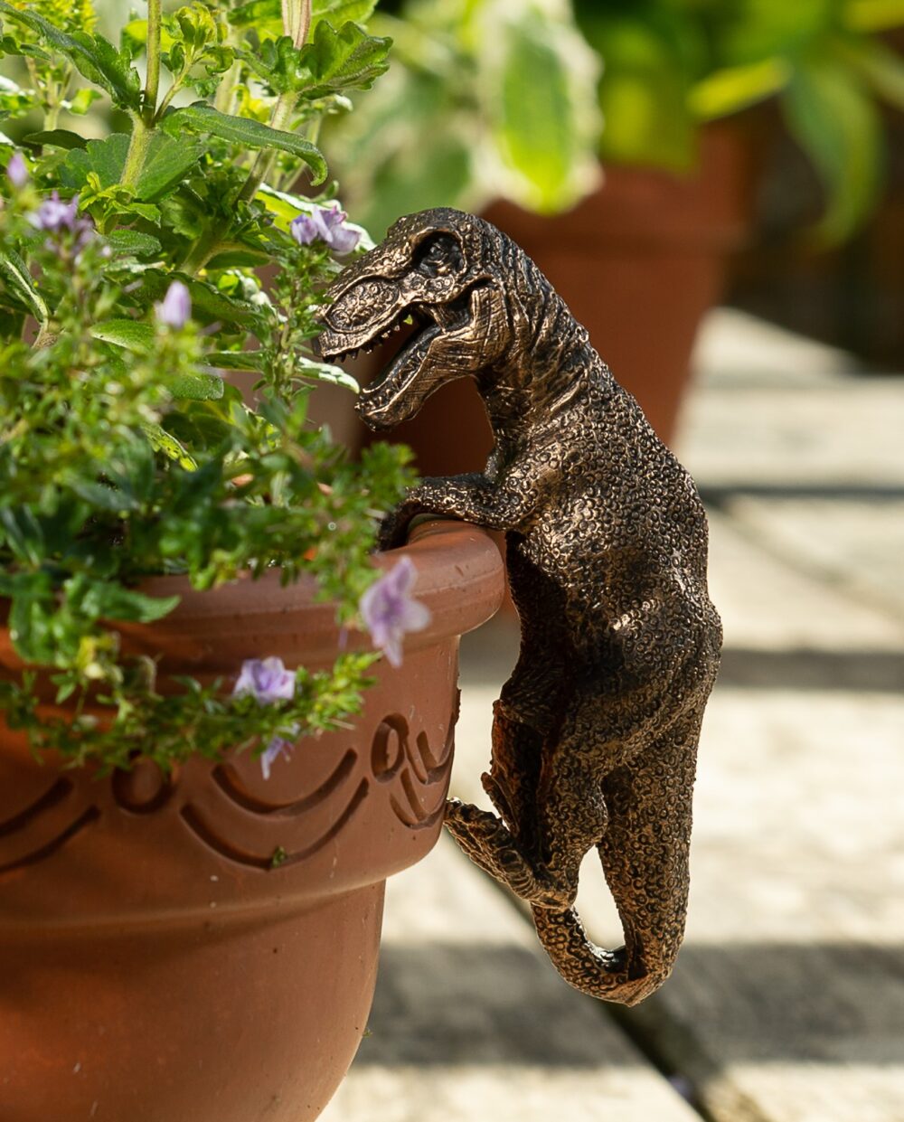 Tyranasaurus Rex Plant Pot Hanger - Image 5