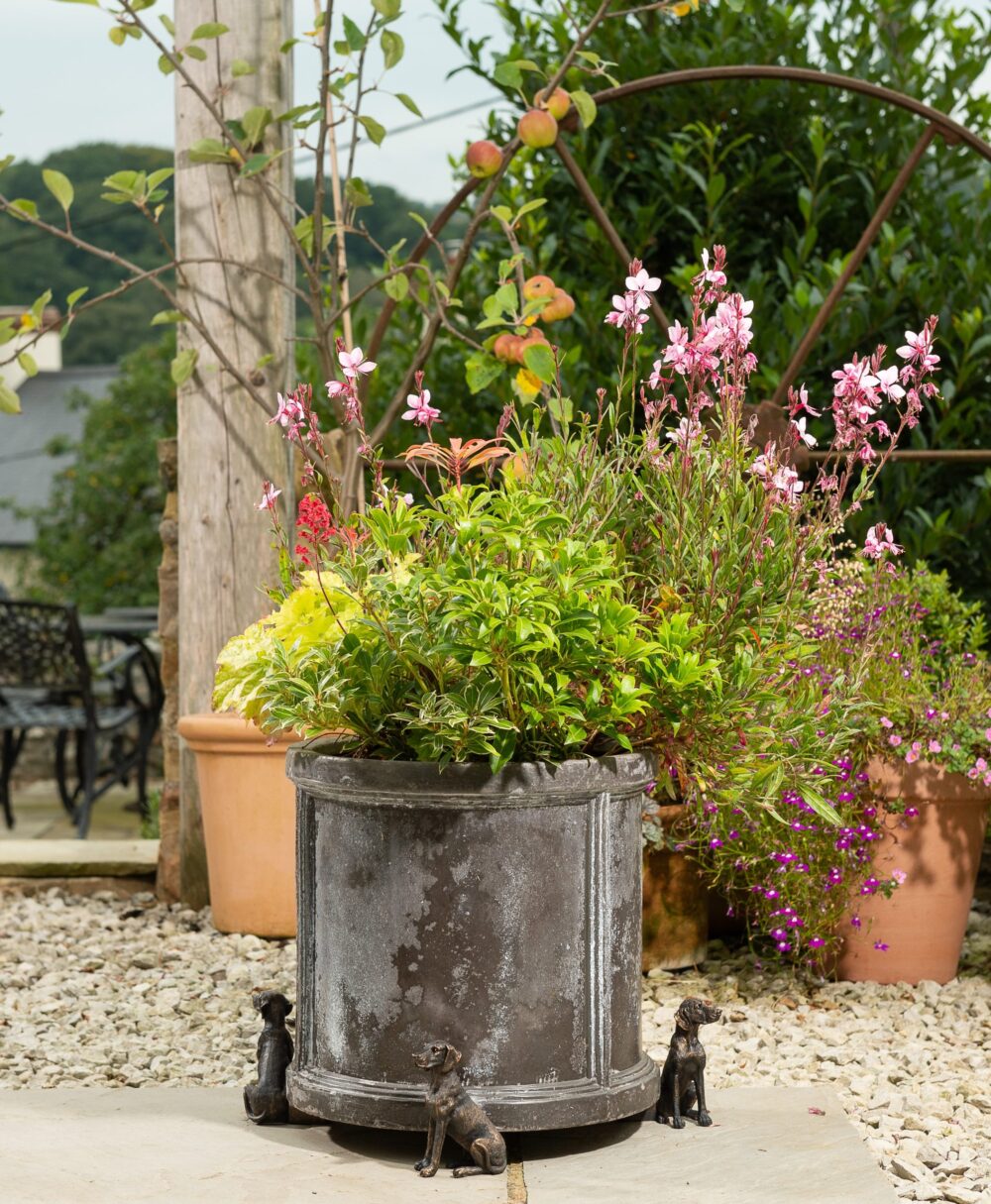 Weimaraner Plant Pot Feet - Set of 3 - Image 5