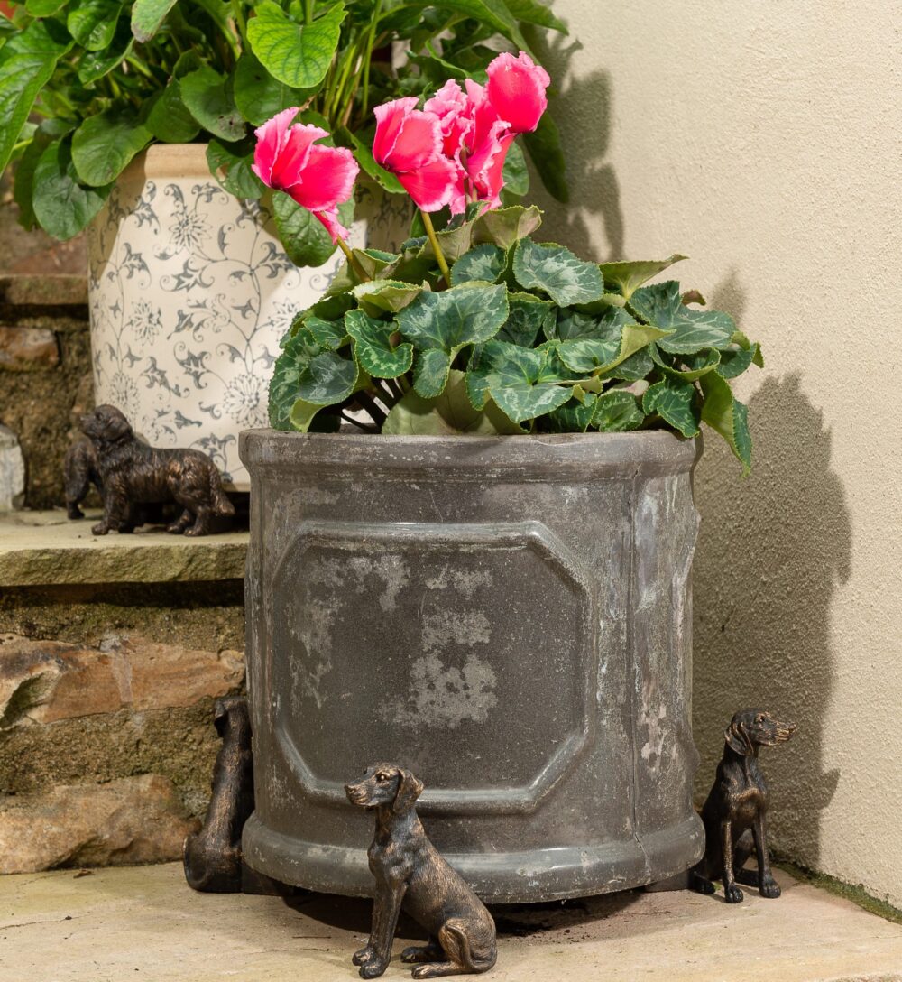Weimaraner Plant Pot Feet - Set of 3 - Image 3