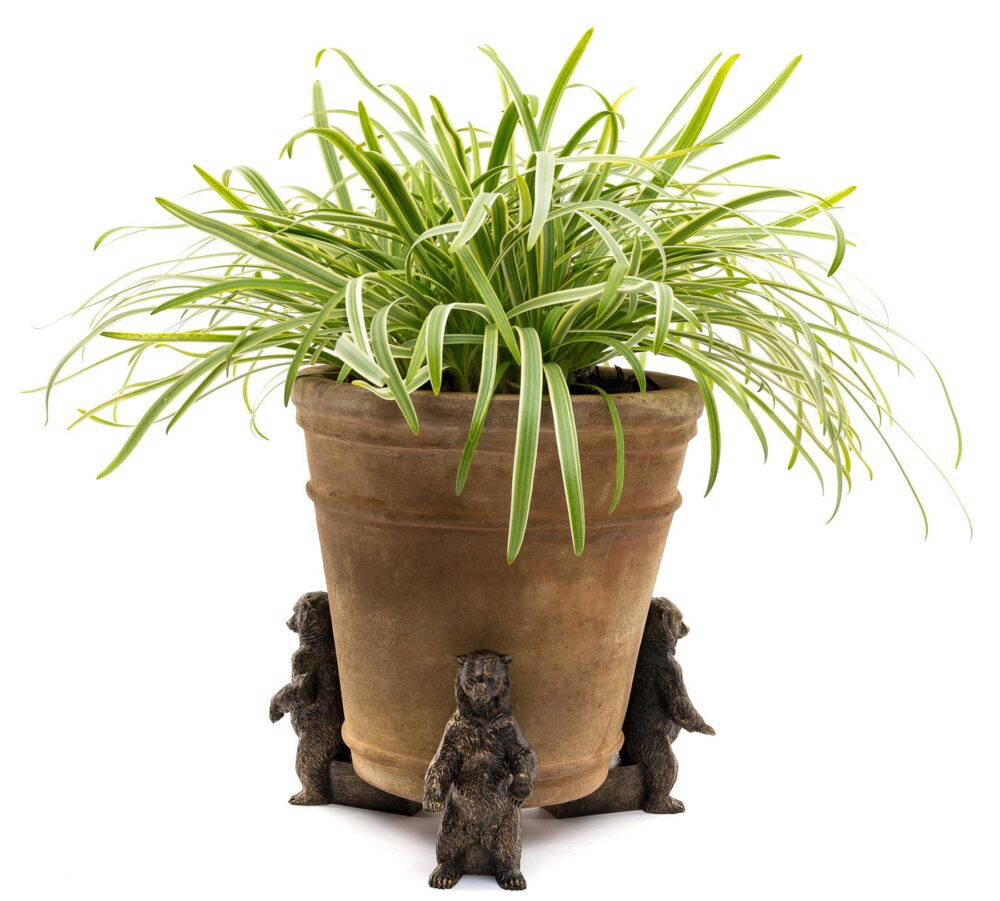 Grizzly Bear Plant Pot Feet - Set of 3
