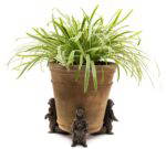 Grizzly Bear Plant Pot Feet - Set of 3