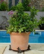 Pig Plant Pot Feet - Set of 3