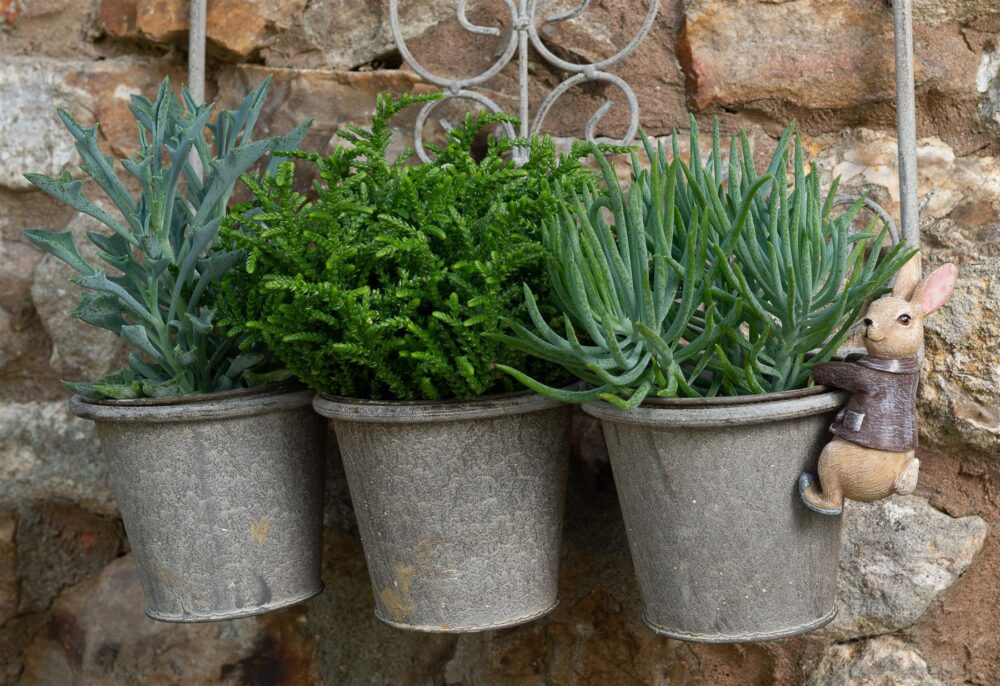 Beatrix Potter Benjamin Bunny Plant Pot Hanger - Image 7