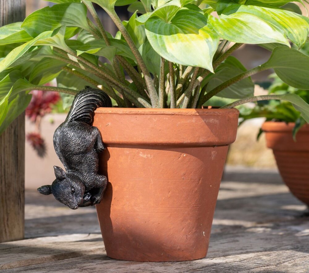 Red Squirrel Plant Pot Hanger
