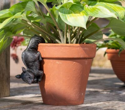 Red Squirrel Plant Pot Hanger
