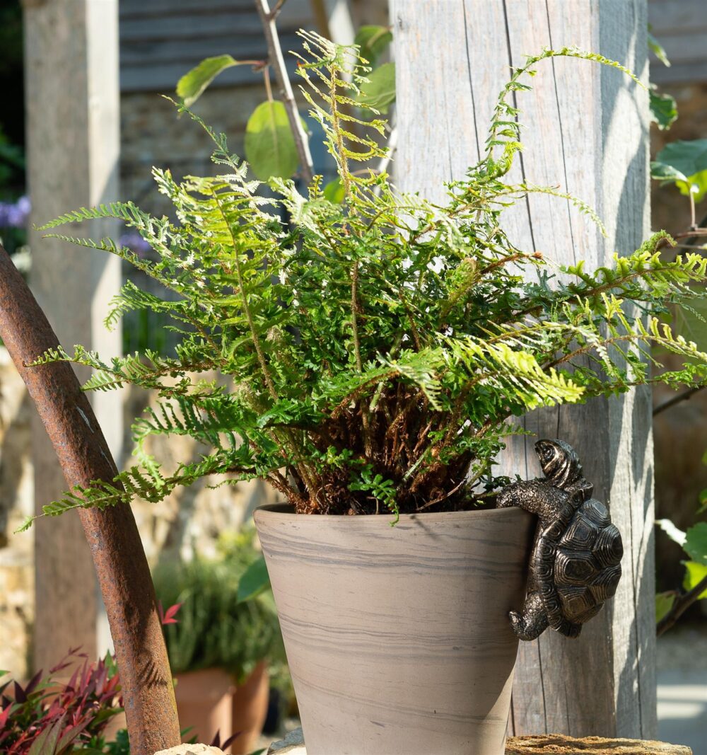 Tortoise Plant Pot Hanger - Image 3