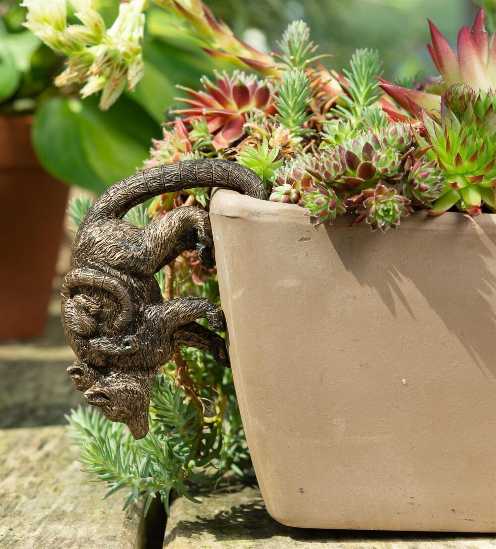 Lemur and Pup Plant Pot Hanger - Image 5